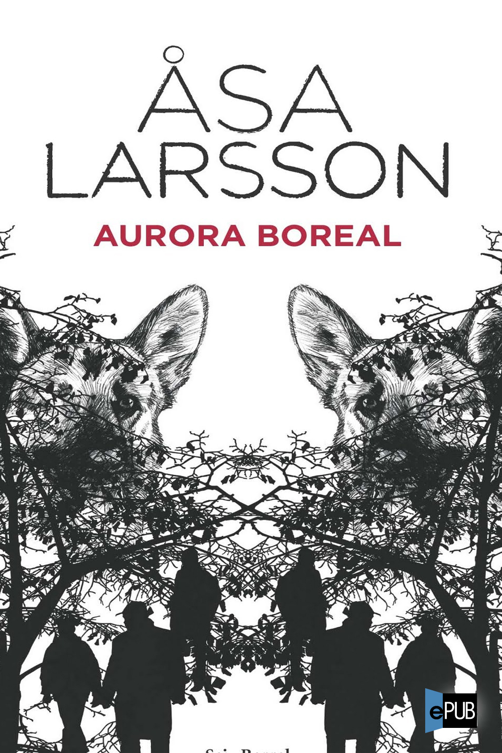 Aurora boreal