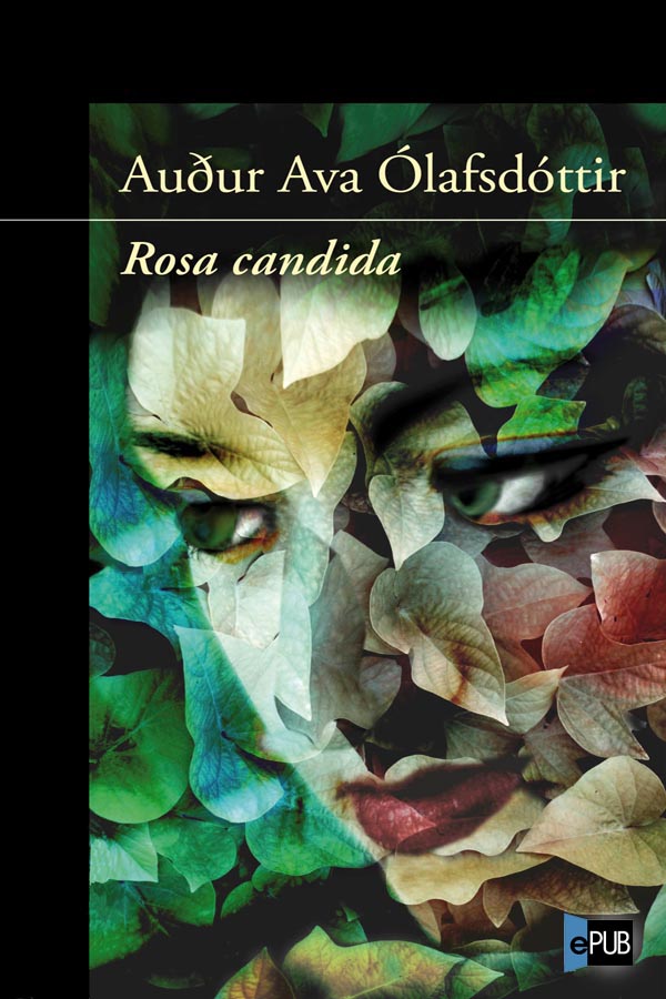 Rosa candida