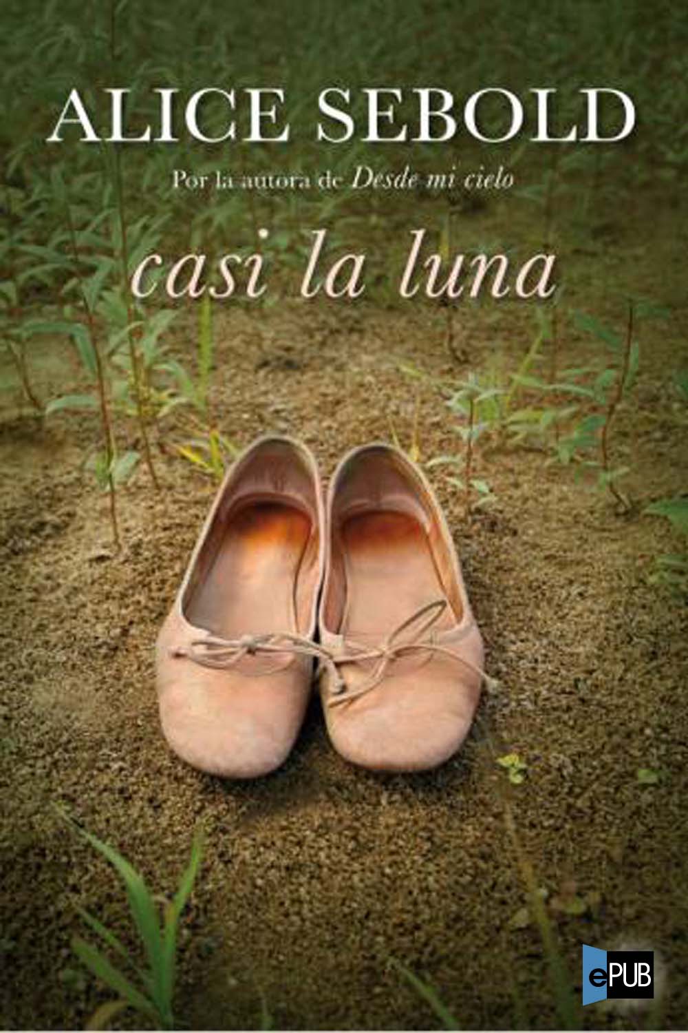 Casi la luna