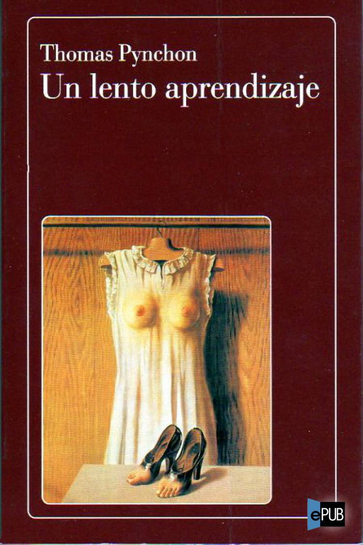 Un lento aprendizaje