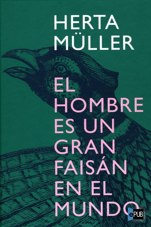 El hombre es un gran faisán en el mundo